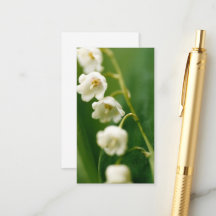 Weiße Maiglöckchen (Convallaria majalis)