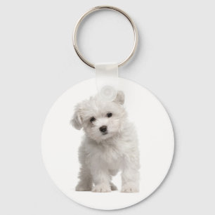 Weiße maltesische Welpen-Hunde-Liebe Custom Schlüs Schlüsselanhänger