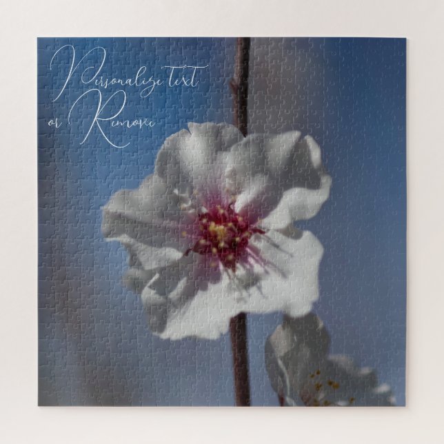 Weiße Mandelblüte Blume Botanische Fotografie (Vertikal)