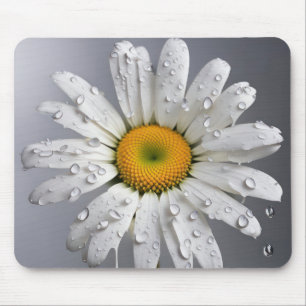 Weiße Margerite mit Regentropfen Mousepad