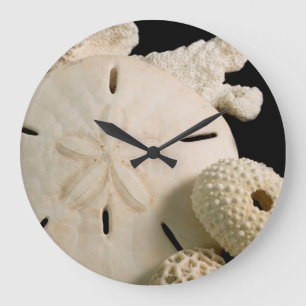 Weiße Meeresmuscheln und Sand-Dollar Große Wanduhr