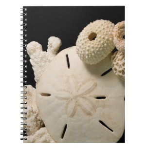 Weiße Meeresmuscheln und Sand-Dollar Notizblock