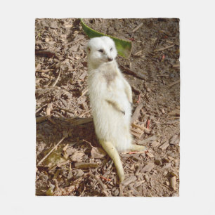 Weiße Meerkat, mittelfläschchen. Fleecedecke