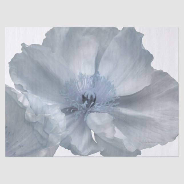 Weiße Mohnblumen-Seidenpapier Seidenpapier (Vorderseite)