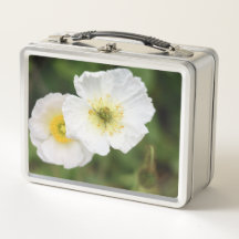 Weiße Mohnblüte Nahaufnahme Blumen Lunchbox 