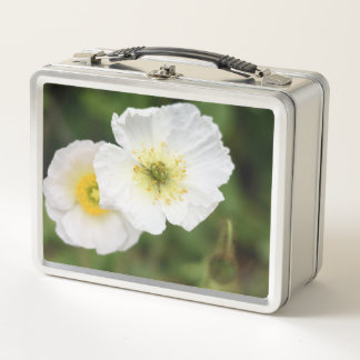 Weiße Mohnblüte Nahaufnahme Blumen Lunchbox 