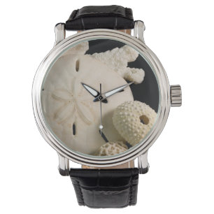 Weiße Muscheln und Sand Dollar Armbanduhr