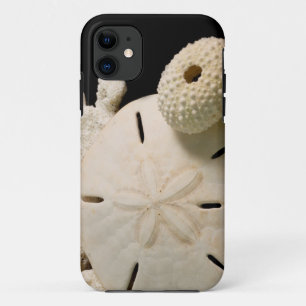 Weiße Muscheln und Sand Dollar Case-Mate iPhone Hülle