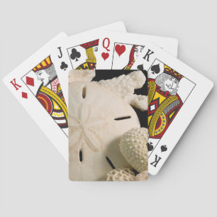 Weiße Muscheln und Sand Dollar Spielkarten
