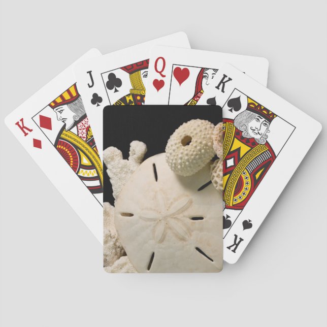 Weiße Muscheln und Sand Dollar Spielkarten (Rückseite)