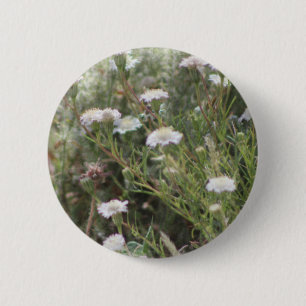 Weiße Nadelkissen-Wildblumen Digitale Aquarellmale Button