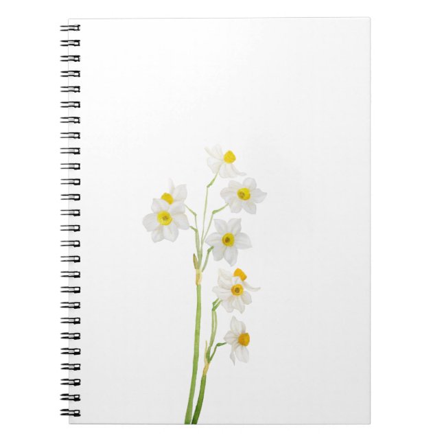 Weiße Narzisse Aquarellfarben-Blume Notizblock (Vorderseite)