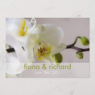 Weiße Orchidee • Hochzeits-Einladung Einladung