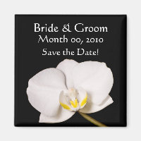 Weiße Orchidee in Schwarz