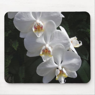 Weiße Orchidee Mousepad
