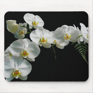 Weiße Orchidee Mousepad