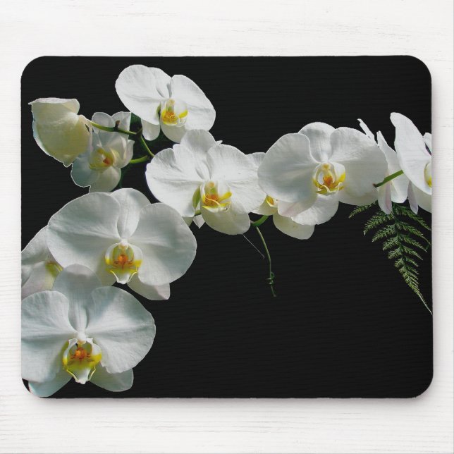 Weiße Orchidee Mousepad (Vorne)