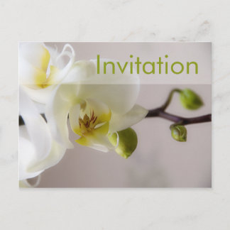 Weiße Orchidee Party Einladung Postkarte