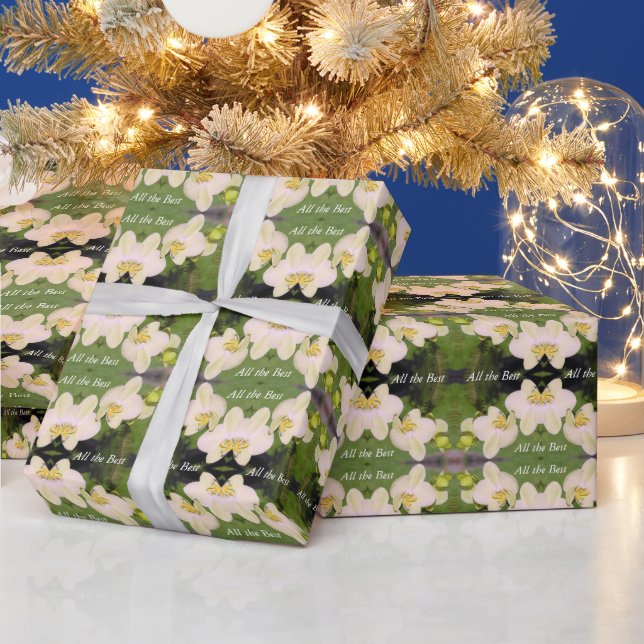 Weiße Orchideen auf einem grünen Hintergrund Geschenkpapier (Feiertage)