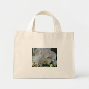 Weiße Orchideen auf einer budgetären Tasche