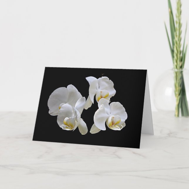 Weiße Orchideen auf Schwarzem - elegante Karte (Vorderseite)