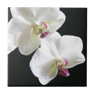 Weiße Orchideen auf Schwarzem Fliese