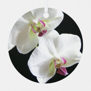 Weiße Orchideen auf Schwarzem Weihnachtsschmuck