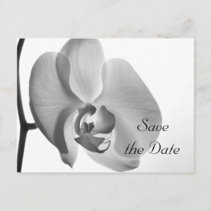 Weiße Orchideen-Blume Hochzeit Sichern Sie das Dat Ankündigungspostkarte