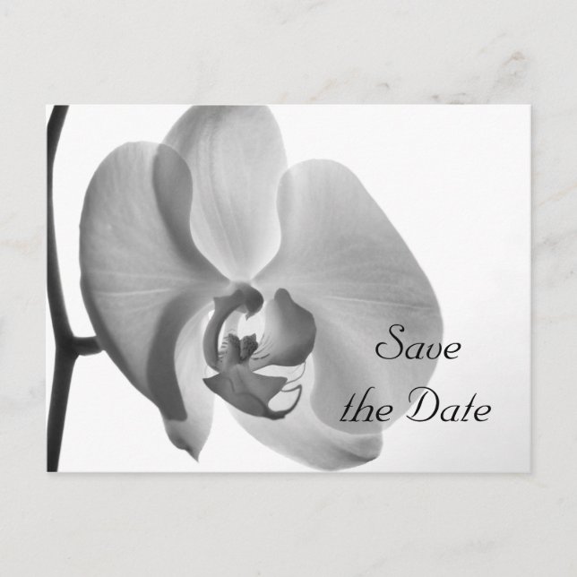 Weiße Orchideen-Blume Hochzeit Sichern Sie das Dat Ankündigungspostkarte (Vorderseite)