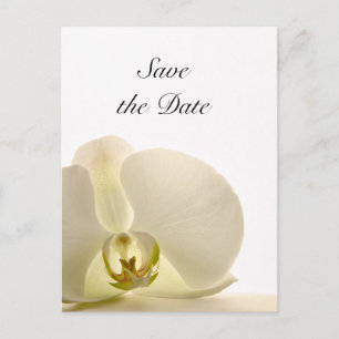 Weiße Orchideen-Blume Hochzeit Sichern Sie das Dat Ankündigungspostkarte