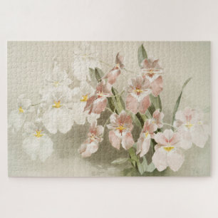 Weiße Orchideen-Blume Vintage alte Illustration