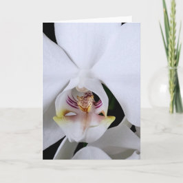 Weiße Orchideen-Blumen-Grußkarte Karte