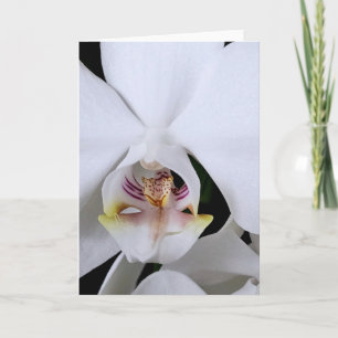 Weiße Orchideen-Blumen-Grußkarte Karte