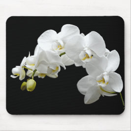 Weiße Orchideen-Blüte Mousepad