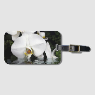 Weiße Orchideen, die sich aus dem Wasser-Gepäckanh Gepäckanhänger
