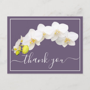 Weiße Orchideen gegen Lila Hintergrund Vielen Dank Postkarte