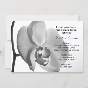 Weiße Orchideen-Hochzeitsbrunch nach der Hochzeit Einladung