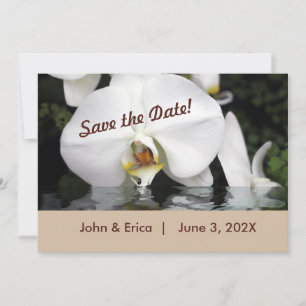 Weiße Orchideen in Wasser flach Save the Date Kart