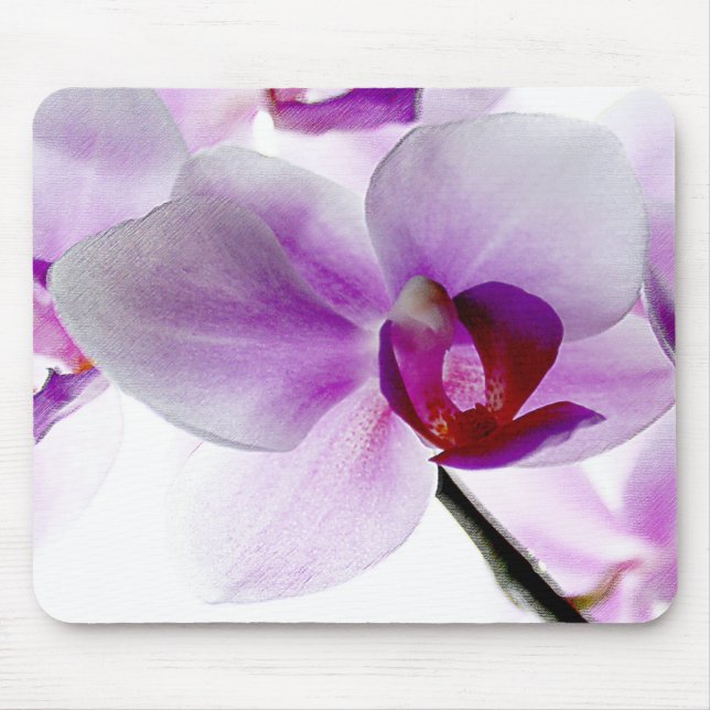 Weiße Orchideen Mousepad (Vorne)