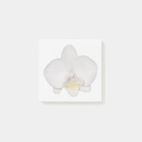 Weiße Orchideen-Notizzettel