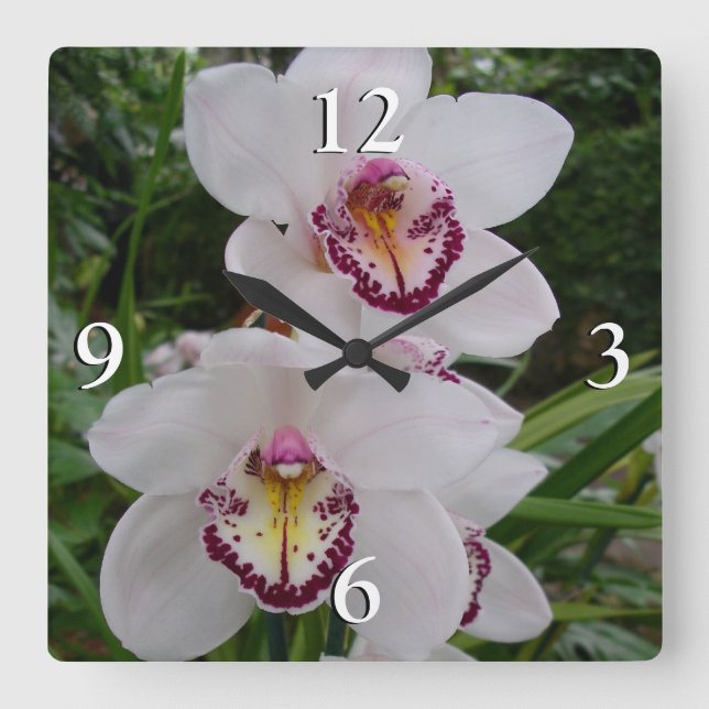 Weiße Orchideen Schöne tropische Blume Quadratische Wanduhr (Vorderseite)