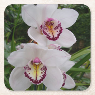 Weiße Orchideen Schöne tropische Blume Rechteckiger Pappuntersetzer