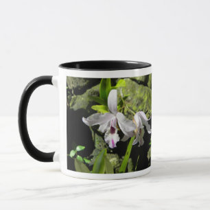 Weiße Orchideen Tasse