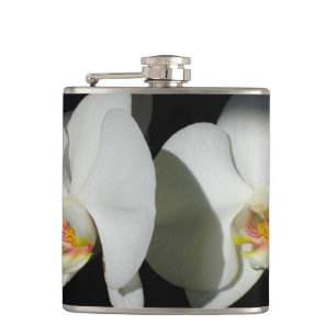 Weiße Orchideen, tropisches Foto Flachmann