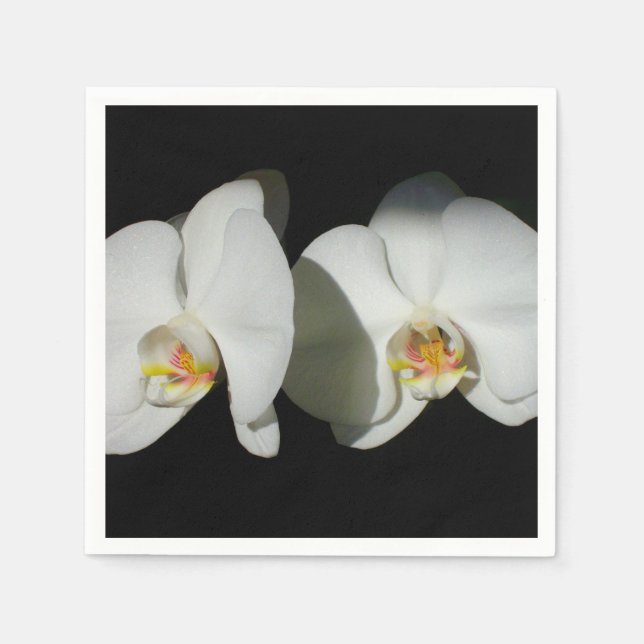 Weiße Orchideen, tropisches Foto Serviette (Vorderseite)