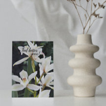 Weiße Orchideen und Blütenblumen werden gut
