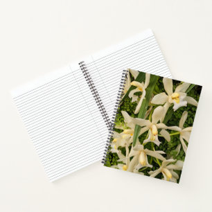 Weiße Orchideen und Frauenhaarfarn-Blumen Notizbuch