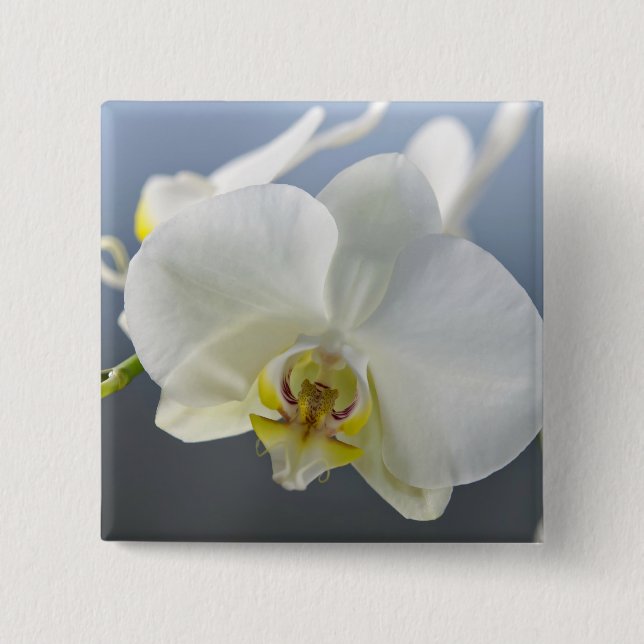 Weiße Orchideenblüte Button (Vorderseite)