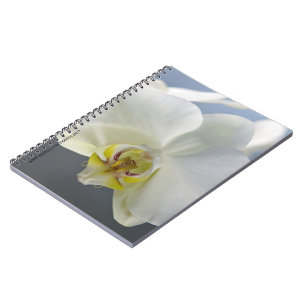 Weiße Orchideenblüte Notizblock