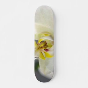 Weiße Orchideenblüte Skateboard